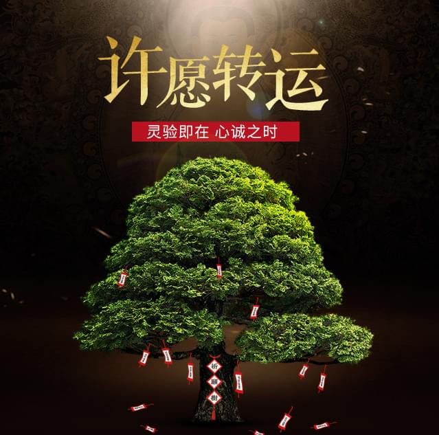 健康成长消病消灾许愿带