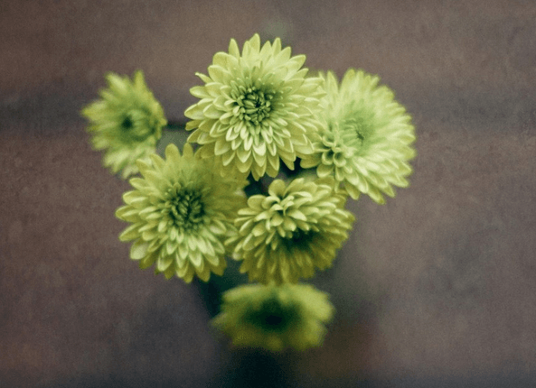 生肖流月运势解析_2018虎上半年运程