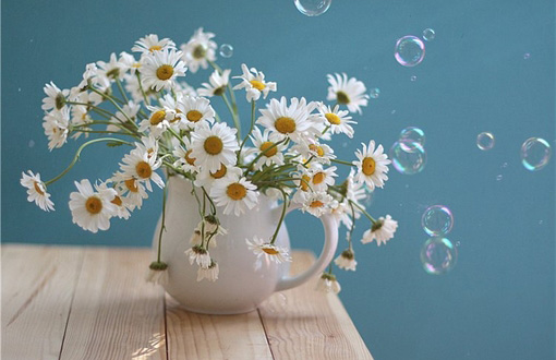 生肖流月运势解析_2018虎下半年运程